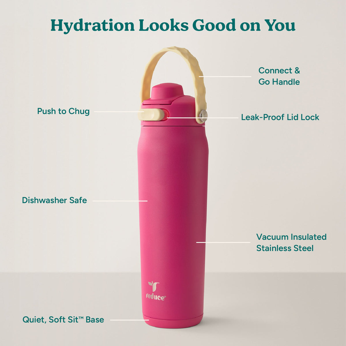 aura-26-oz-p3 Aura_26oz_DragonFruit_PDP_Infographic_2-03.jpg