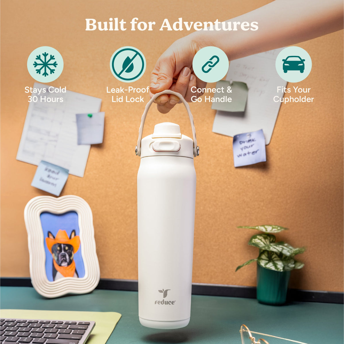 aura-26-oz-v3 Aura_26oz_Unbleached_PDP_Infographic_1.jpg