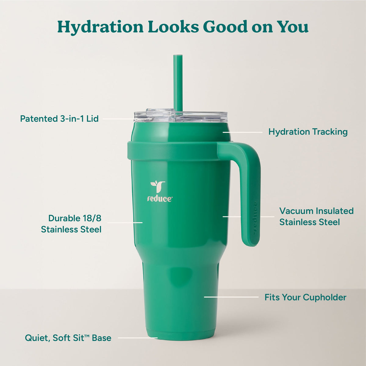 cold1-40-oz-p7 Cold1_40oz_PalmLeaf_Infographic_2.jpg