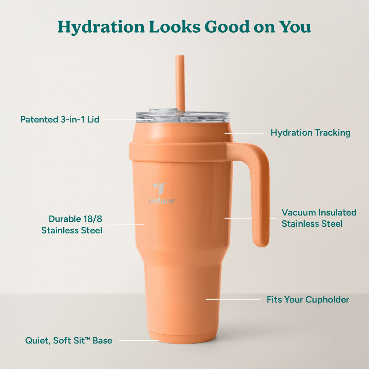 cold1-40-oz-p7 Cold1_40oz_Papaya_Infographic_2.jpg